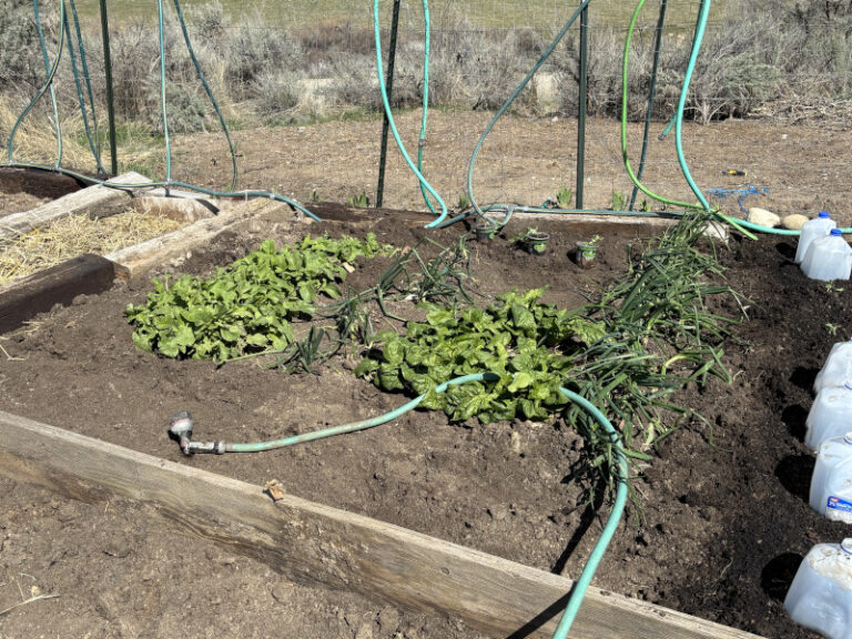 Garden Prep Continues