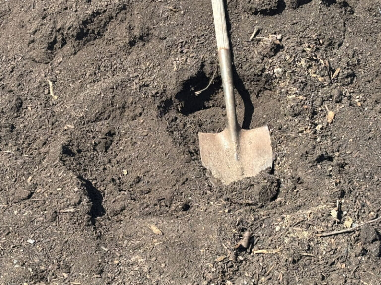 Progress – One Step At A Time